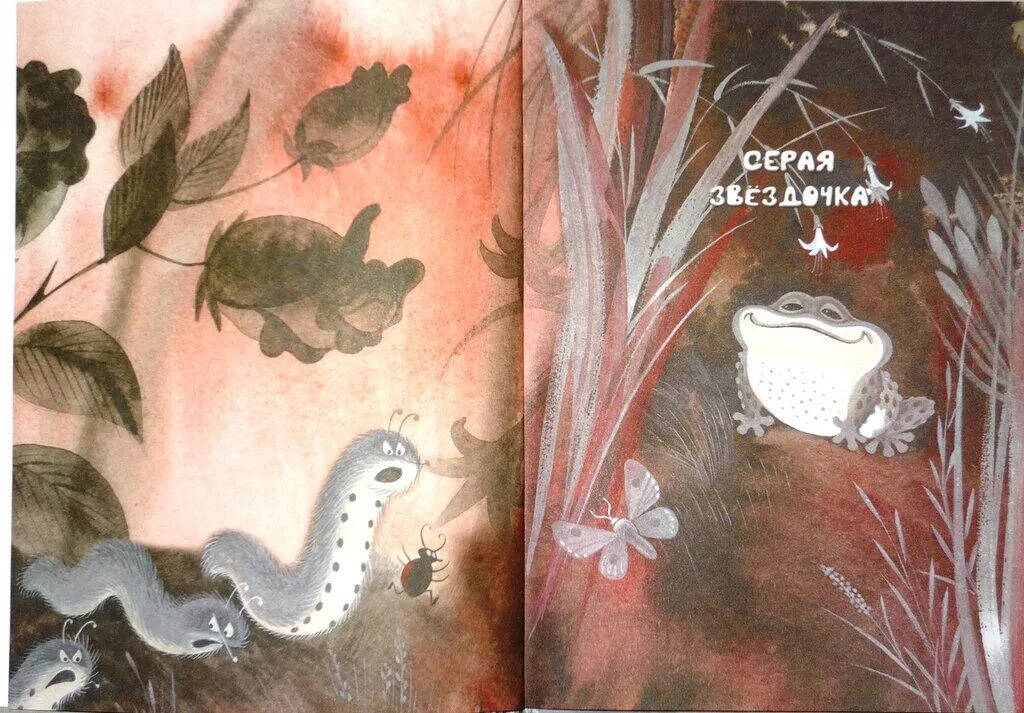 Заходер звездочка. Борис заходер серая звездочка. б заходер русачок серая звездочка. заходер б.в. &quot;серая звездочка&quot;. борис заходер серая звездочка рисунок.