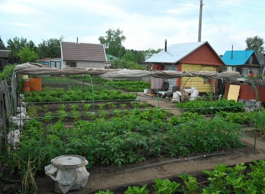 На наших участках живут. Деревенский домик с огородом. Огород в деревне. Огород на даче. Огород в селе.