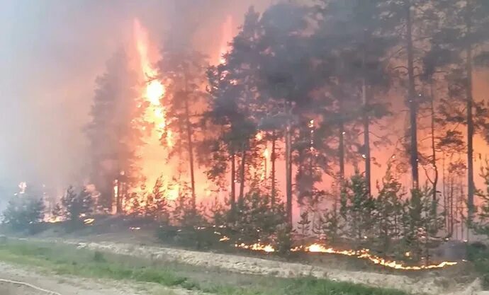 Пожар в д лесная. Пожары в Марий Эл 2021. Лесной пожар в Йошкар Оле 2021. Лесные пожары в Марий Эл 2021. Пожар лесов в Марий Эл 2021.