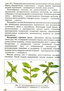 Расположенный лист
