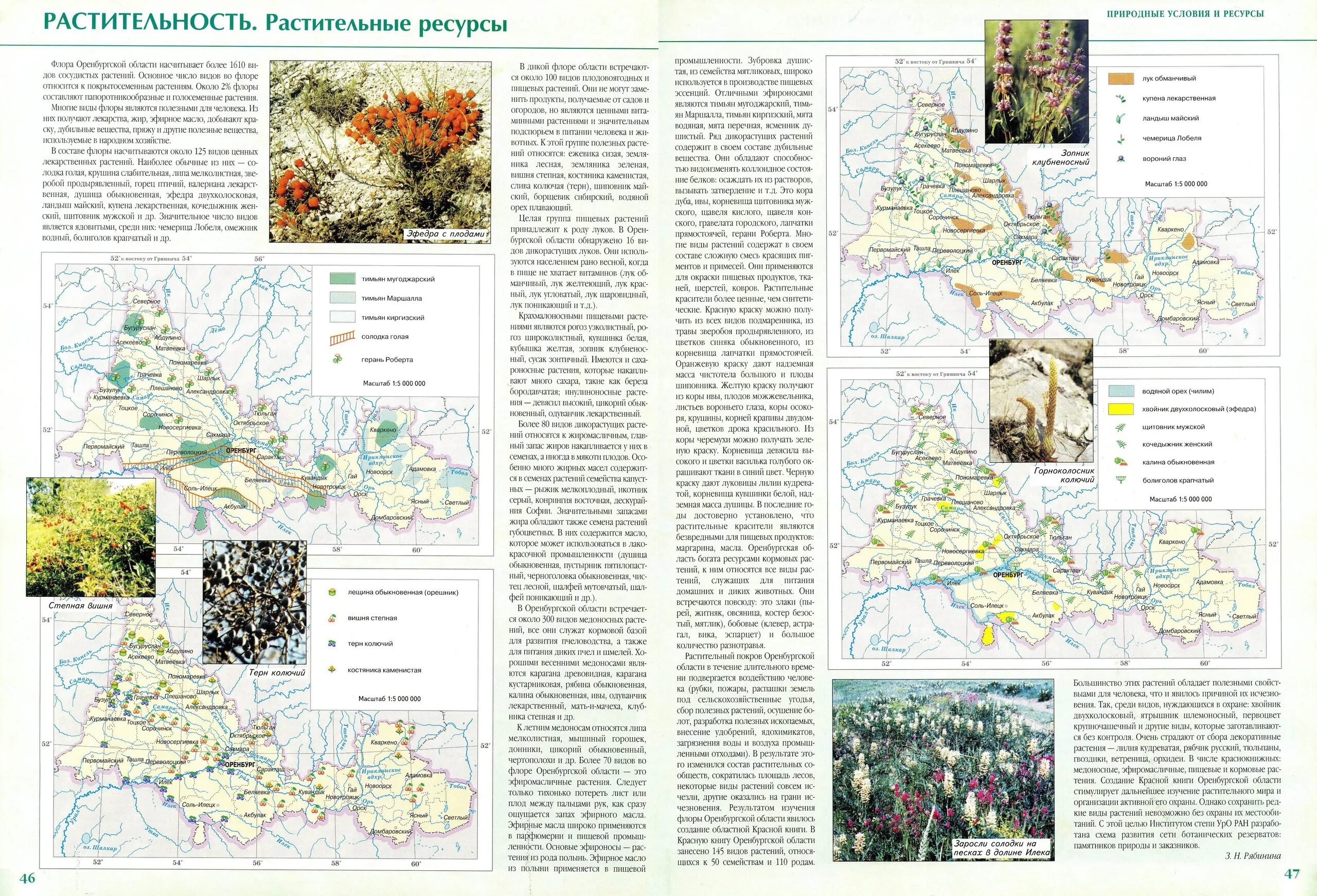 Растительная карта россии. Атлас растительность Оренбургской области. Географический атлас Оренбургской области. Карта растительности Оренбургской области. Карта Оренбуржья растительность.