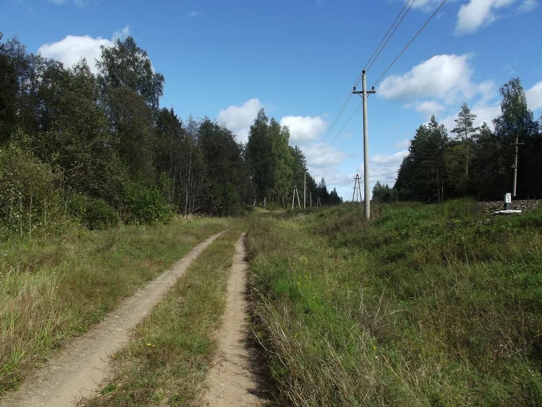 Рп5 западная двина. Западная Двина пос Ильино. Земцы Тверская область. Западная Двина Тверской затопило п Земцы?. Поселок Земцы.