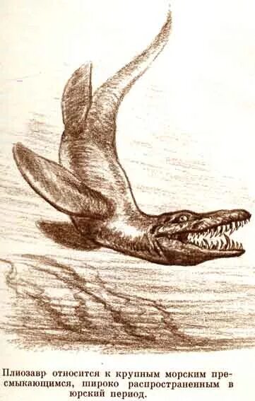 Господство пресмыкающихся эра. Плиозавр рисунок. Мезозойская Эра рисунок карандашом. Плиозавр доклад. Плиозавр старые иллюстрации.