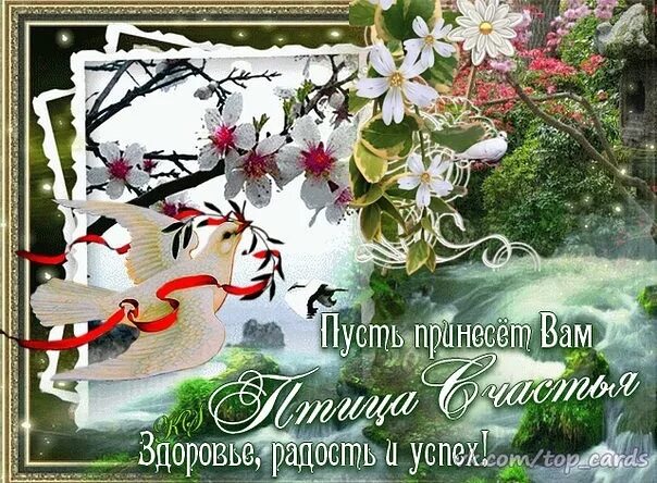 Поздравления с хорошим настроением. Здоровья вам и вашим бли. Доброго дня весеннего здоровья и добра. Весеннего тепла и настроения. Весенние открытки.