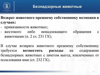 Безнадзорные животные право