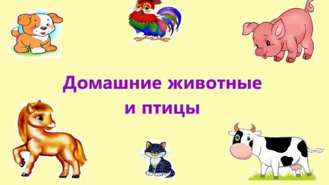 Домашние животные для малышей развивающие