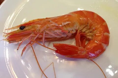 Можно ли есть головы креветок