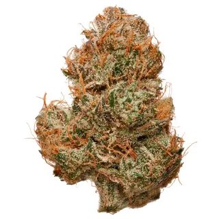 Must be 21 years or older Fresh Harvest High THCa Maui Wowie is a very exot...