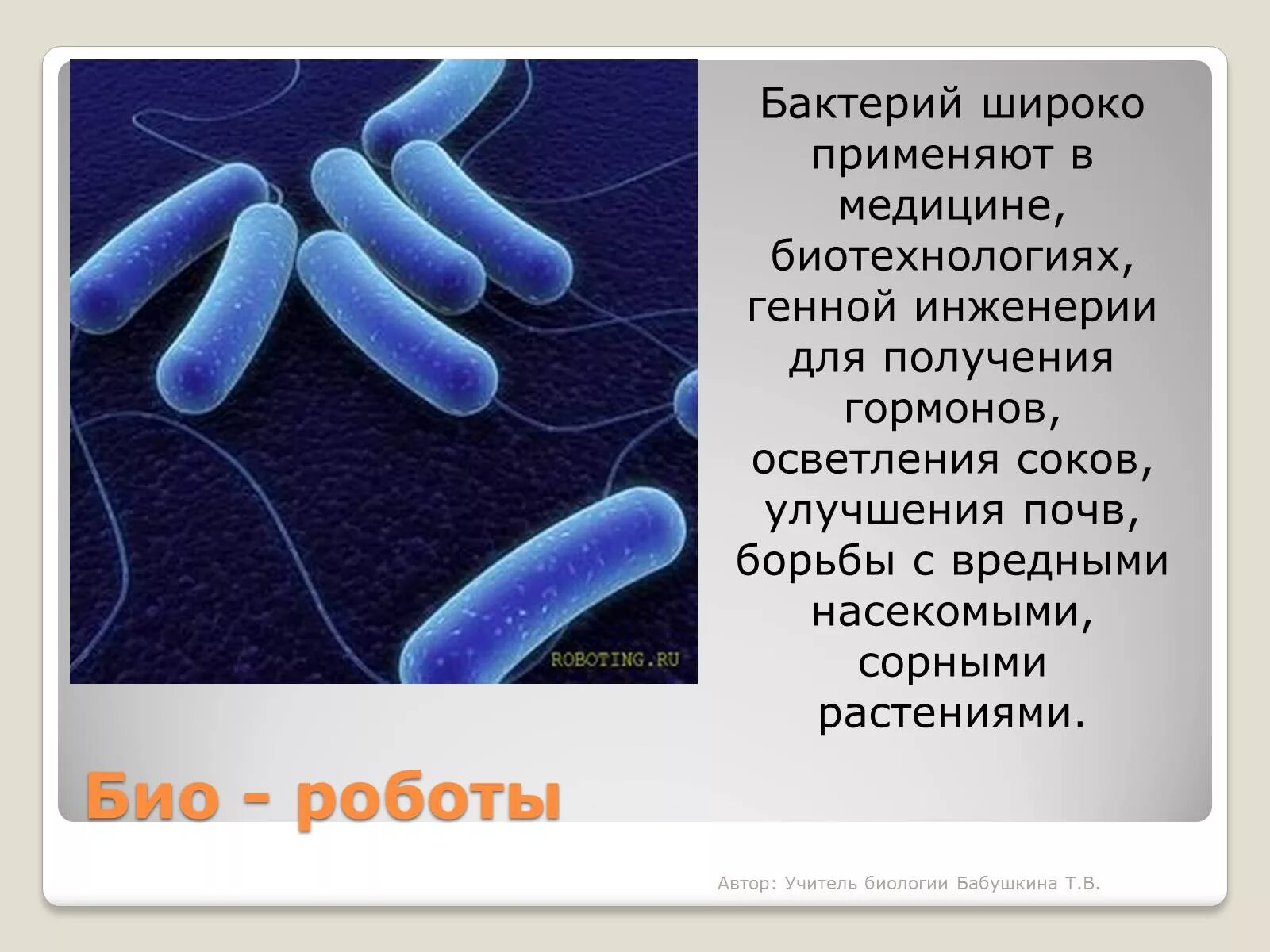 Микроорганизмы применяемые в МИКРОБИОТЕХНОЛОГИИ. Бактерии в биотехнологии. Бактерии и вирусы в биотехнологиях. Бактерии используемые в биотехнологии. Почему бактерии считают