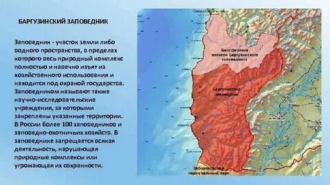 Чегаринск где находится