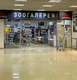Зоогалерея воронеж