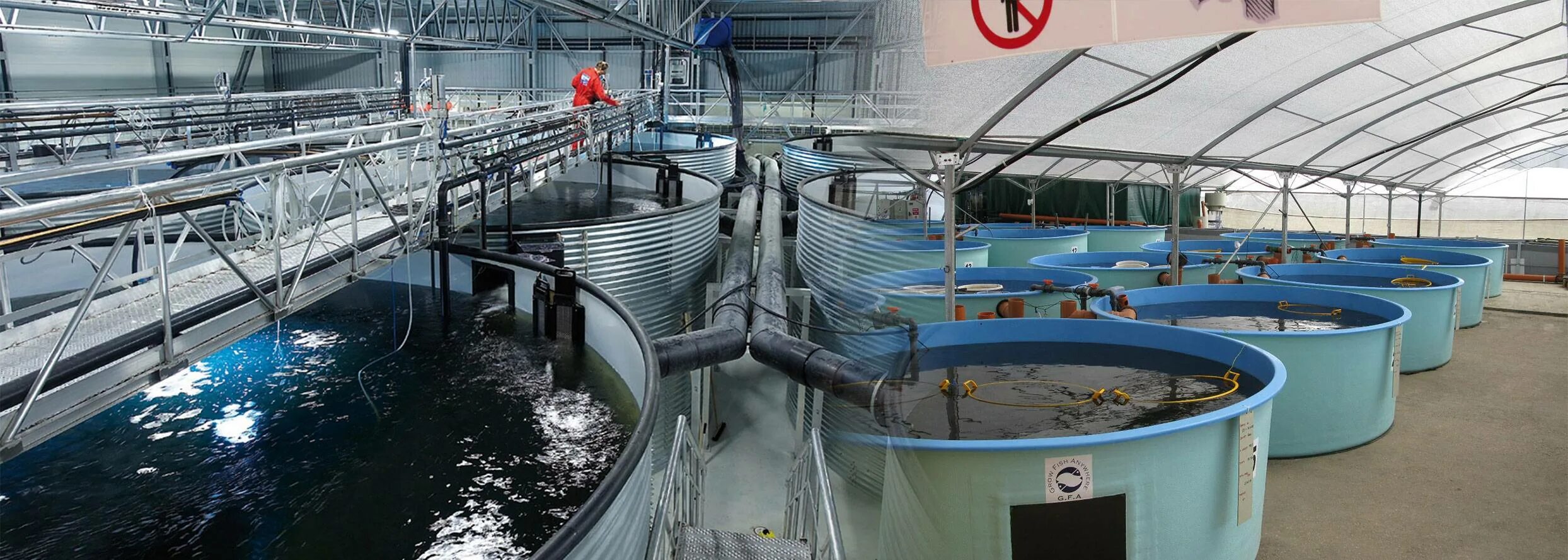 Почему важно развивать рыбоводство в искусственных
