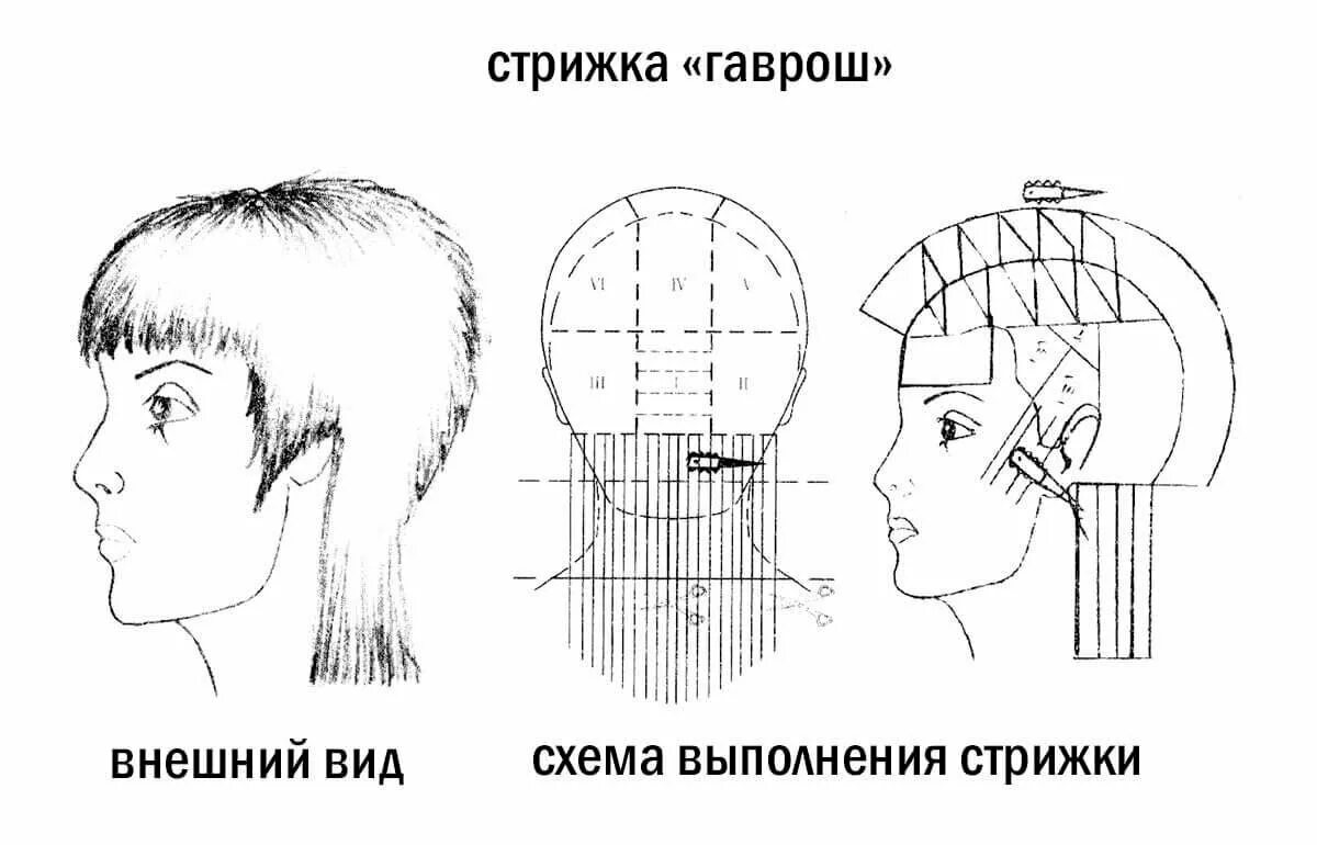 Технология выполнения стрижки Гаврош. Стрижка Гаврош схема выполнения. Стрижка Гаврош техника выполнения. Схема стрижки Гаврош. Стрижка на средние волосы схема