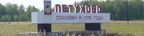 Население петухово курганская область