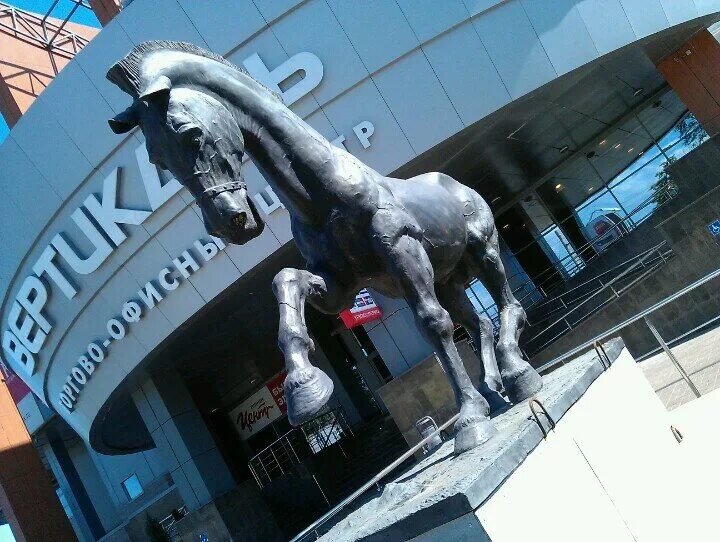 глаз лошади. ипподром чолпон ата. памятник лошади. куйбышевский ипподром. кск легион самара.