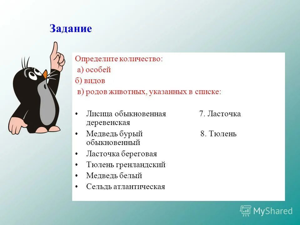 Количество видов и родов животных. Отряды млекопитающих. Виды животных названия. Количество особей количество родов и видов. Особь вид род.