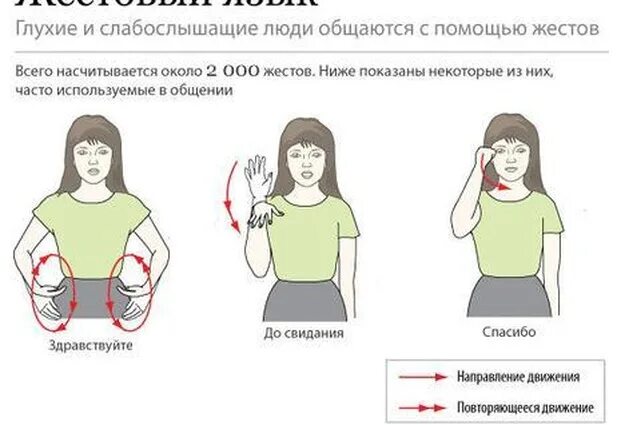 Язык жестов спасибо. Язык жестов. жесты глухонемых. здравствуйте на языке жес. язык жестов учить.