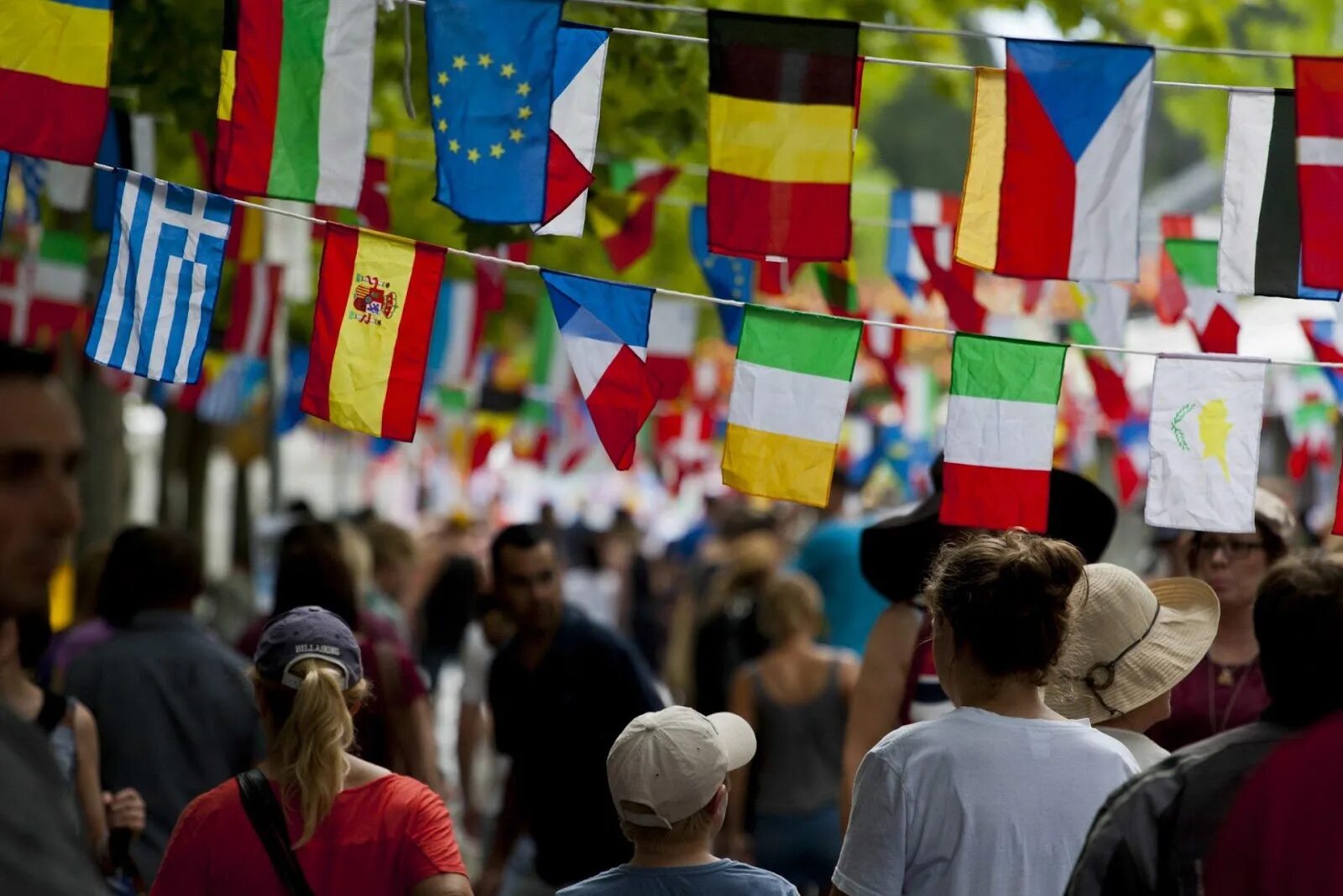 Multicultural society
