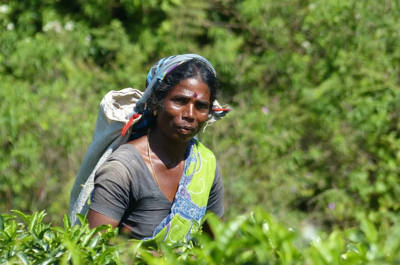 Девушки Шри Ланки. Цейлонские женщины. Шри Ланка девушки местные.