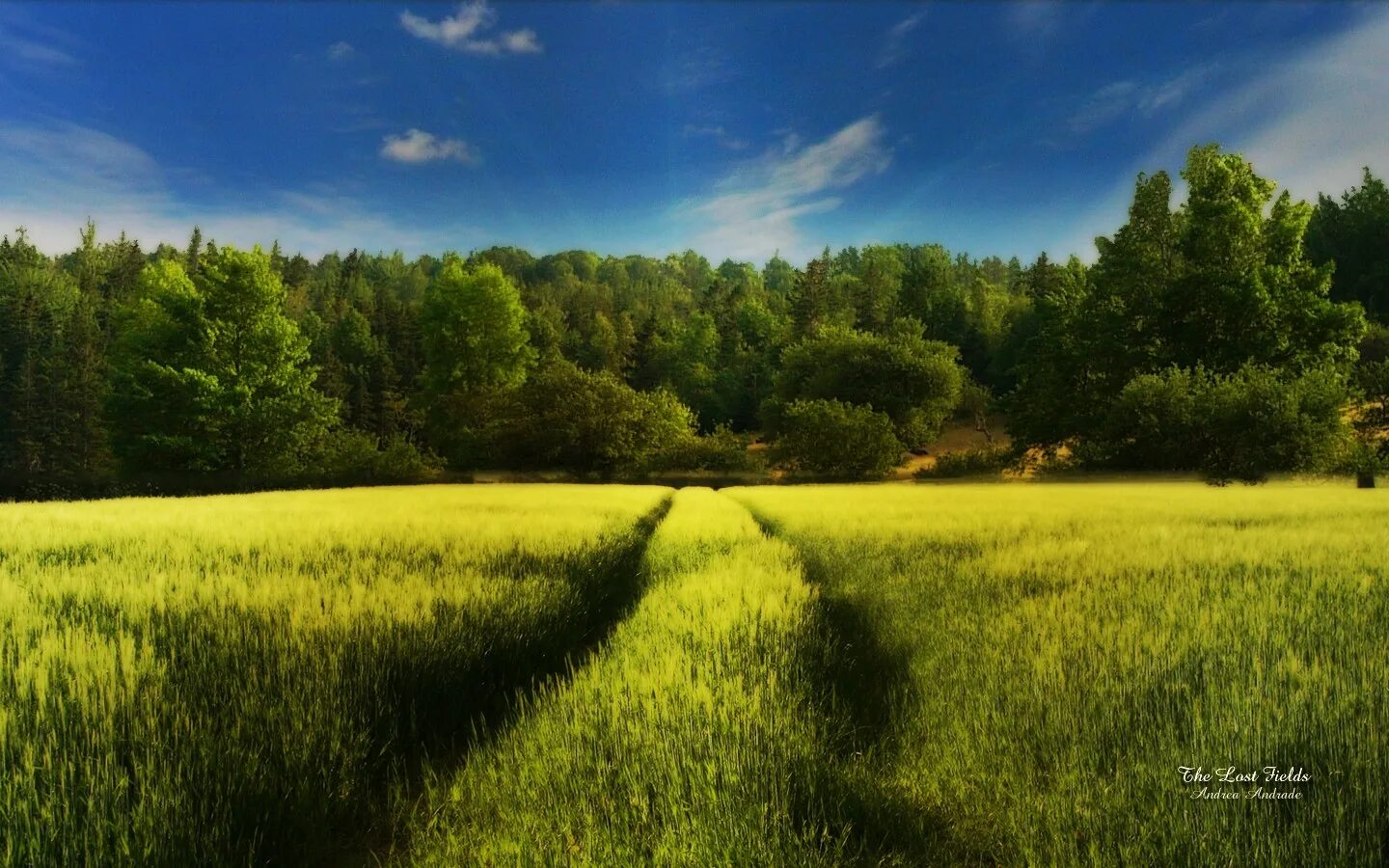 Lost fields