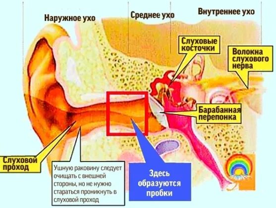 Заложило внутреннее ухо.