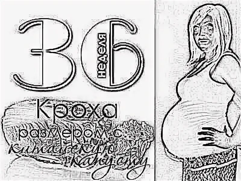 Раскраска для беременных по неделям беременности 36 неделя.