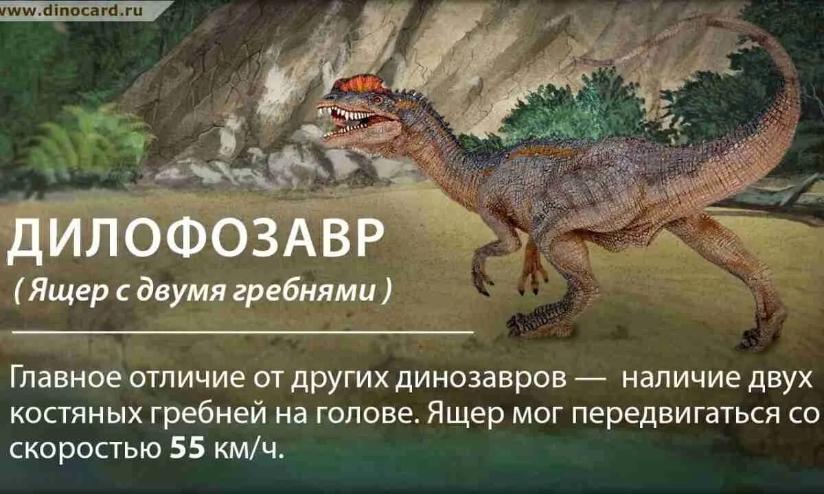 Интересные факт о динозавтрах. Факты о динозаврах. Удивительные факты о динозаврах. Интересное про динозавров для детей. Вопросы динозавра