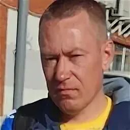 Димон вологда приложение. Димон вологда приложение