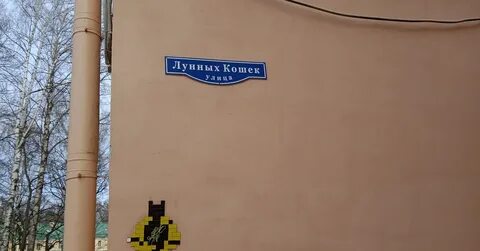 Улица лунных кошек