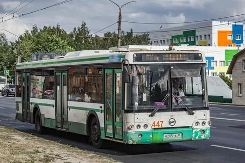 Балашиха 447