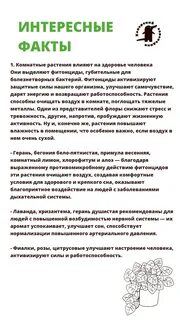 Благодарность комнатным растениям
