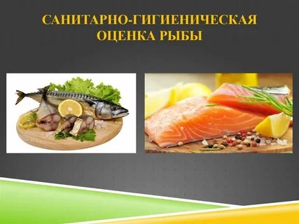 Оценка рыбное