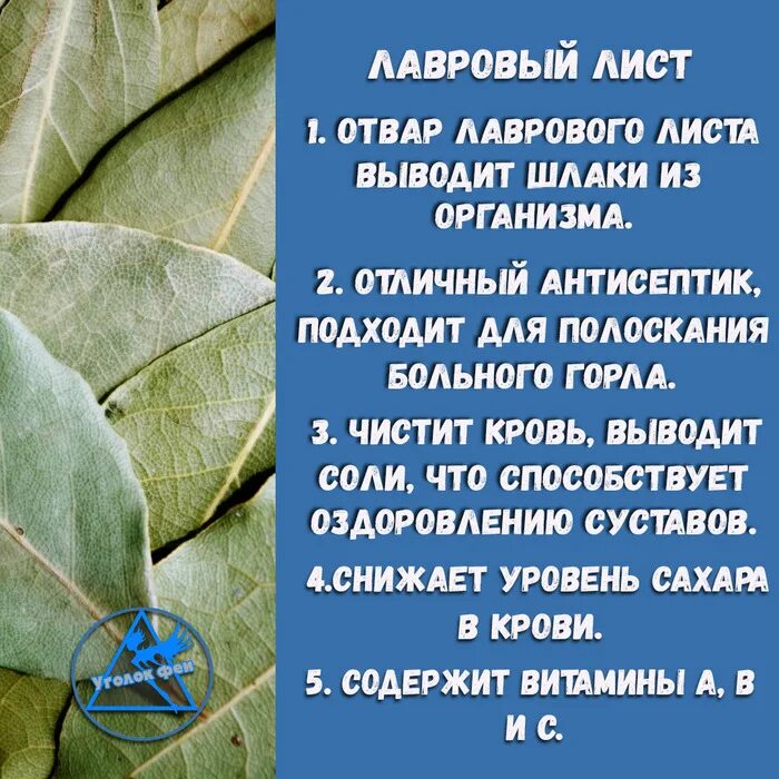 Лавровый лист при подагре. Чем полезен лавровый лист. лавровый лист польза. лавровый лист польза для здоровья. полезен лавровый лист.