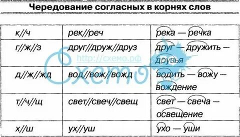 Слова с чередованием согласных букв