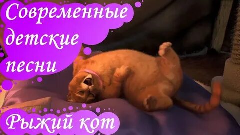 Песня кота на звонок