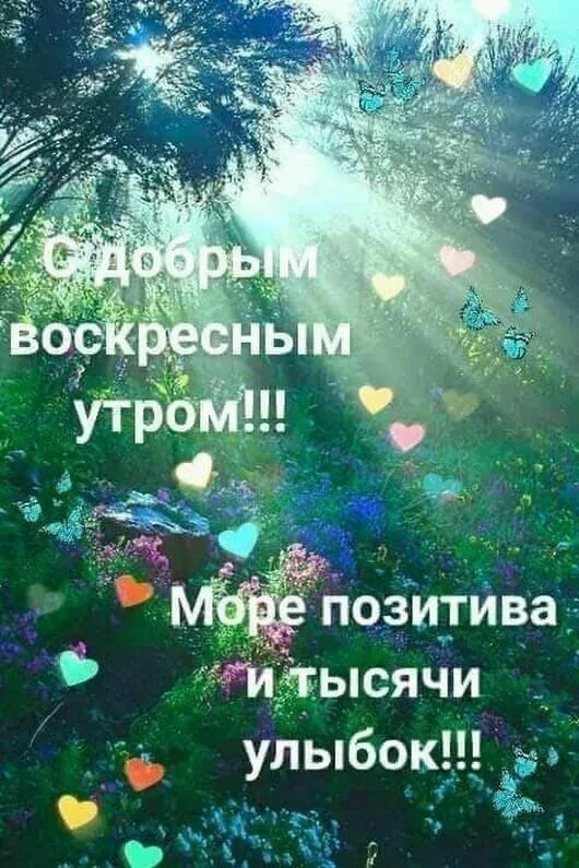 Позитивное утро картинки цитаты 30 открыток с интересными мыслями (29 фото) Cool words, Words, Laws of life
