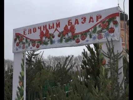 Елочный базар старый оскол