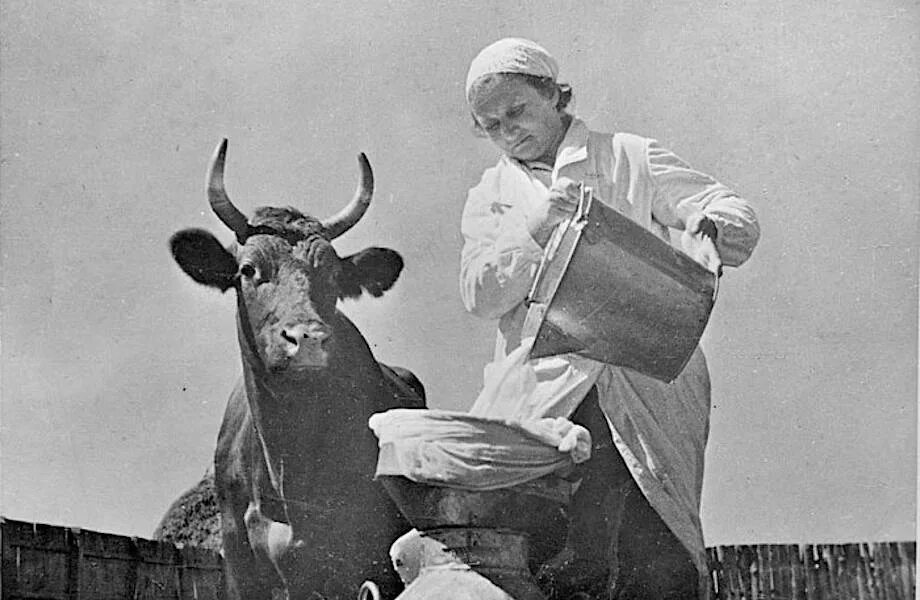 Колхоз хх. Председатель колхоза ссср 30-е. сельское хозяйство в 30-е годы в ссср. сельское хозяйство в 20-30 годы в ссср. колхоз в ссср в 30-е годы.