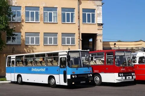 250 автобус спб