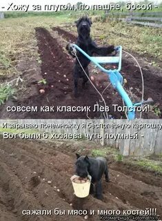Веди свой плуг