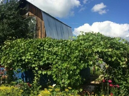 Огороды нижнекамска
