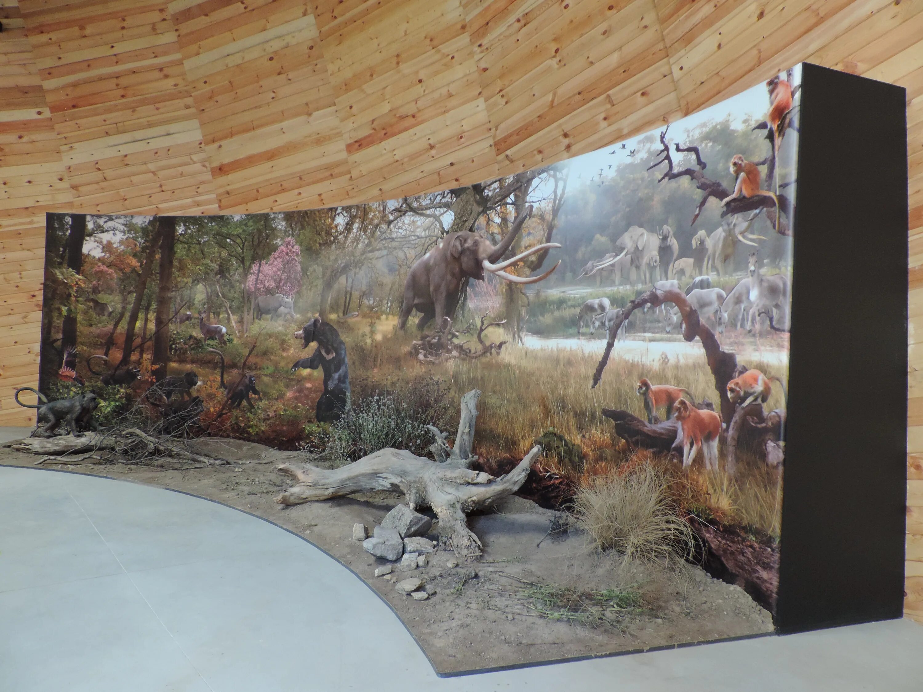 Диорама парк. Диорама парк. Парк возле диорамы белгород. Экогород диорама. Русская деревня в миниатюре.