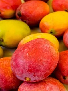 Mangos mangos slowed
