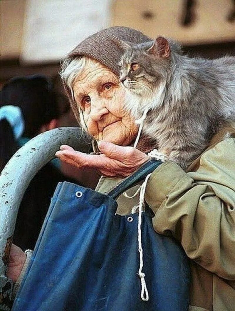 Бабка и кот. Бабуля с кошкой. старушка с котом. старуха и кот. бабушка с котенком.