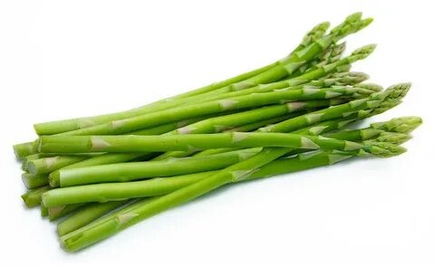 Asparagus перевод