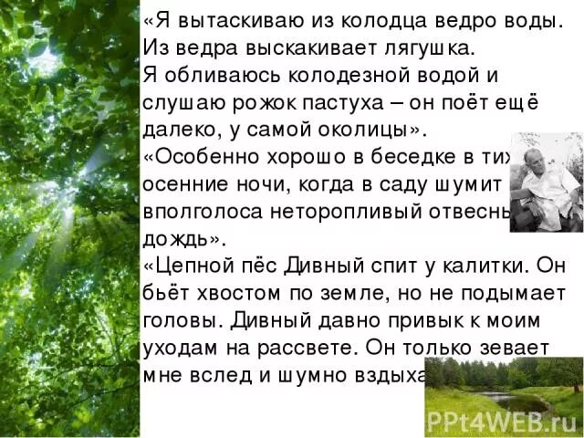 Хорошо в беседке в осеннюю ночь текст