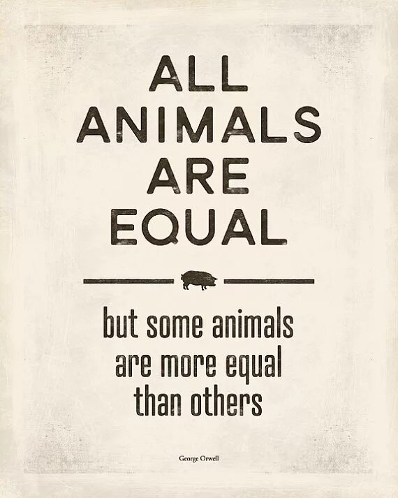 Greater than less than. More than equal. Greater than less than equal to. Greater than less than worksheet. More equal animals.