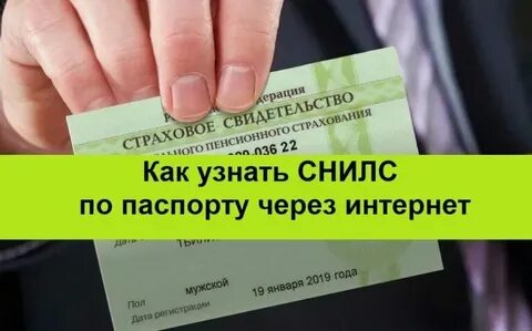 Что можно узнать по снилс о человеке