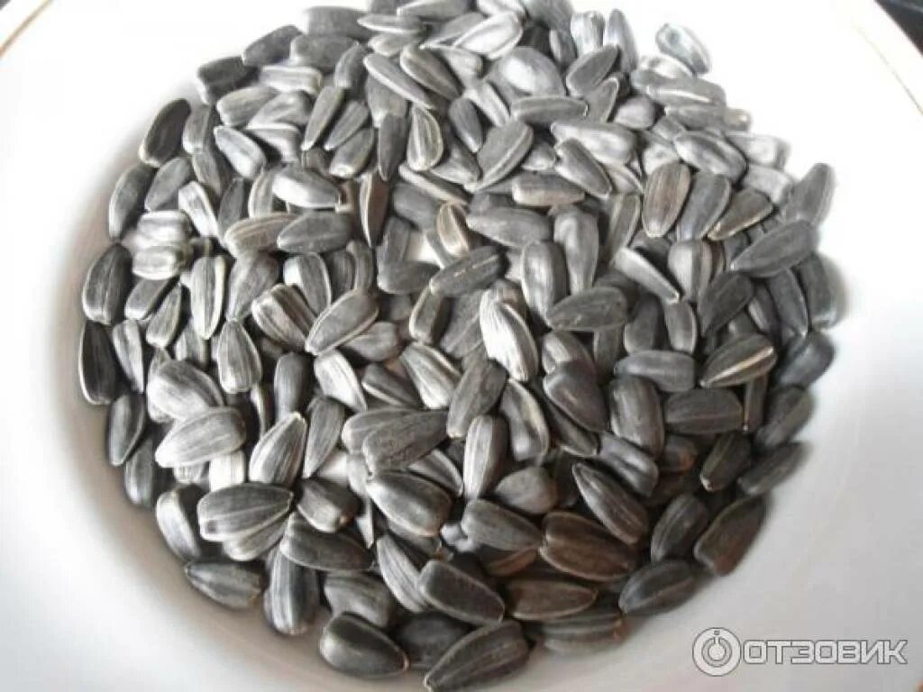 Семечка гугл. Семечки для тебя. Семечки виды. Вк семечка. Саморез с прессшайбой 4.