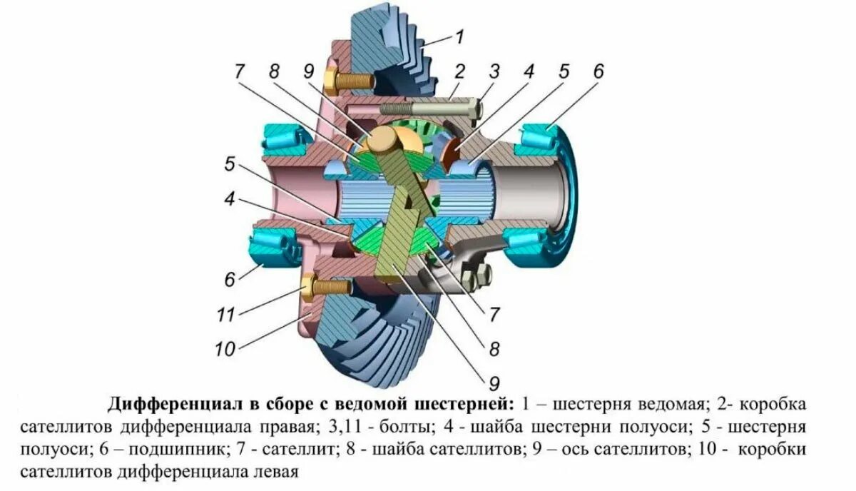 Схема заднего дифференциала. Дифференциал редуктора газель 3302. схема редуктора газель некст. сателлиты дифференциала газ 3110 чертеж. сателлиты газель заднего моста.
